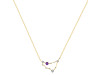 Capricorn Zodiac Star Constellation Amethyst & White Topaz Necklace AMT-RDN-489.
