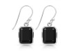 Black Tourmaline Earring BLS-RDE-1250.