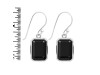 Black Tourmaline Earring BLS-RDE-1251.