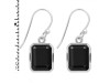 Black Tourmaline Earring BLS-RDE-705.