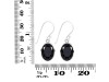 Black Tourmaline Earring BLS-RDE-709.