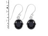 Black Tourmaline Earring BLS-RDE-997.