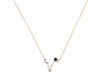 Pisces Zodiac Star Constellation Black Tourmaline & White Topaz Necklace BLS-RDN-387.