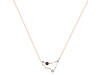 Capricorn Zodiac Star Constellation Black Tourmaline & White Topaz Necklace BLS-RDN-489.