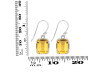 Citrine Earring CIT-RDE-1250.