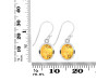 Citrine Earring CIT-RDE-708.