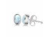 Close Out Larimar Earring LAR-CO-RDE-1108.