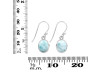 Close Out Larimar Earring LAR-CO-RDE-1131.