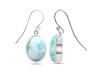 Close Out Larimar Earring LAR-CO-RDE-1233.