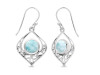 Close Out Larimar Earring LAR-CO-RDE-228.