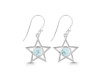 Close Out Larimar Earring LAR-CO-RDE-567.