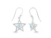 Close Out Larimar Earring LAR-CO-RDE-567.