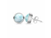 Close Out Larimar Earring LAR-CO-RDE-719.