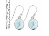 Close Out Larimar Earring LAR-CO-RDE-779.