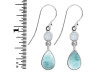 Close Out Larimar & Moonstone Earring LAR-CO-RDE-798.