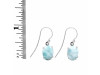 Close Out Larimar Earring LAR-CO-RDE-896.
