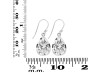 Crystal Quartz Earring CST-RDE-1252.