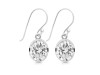 Crystal Quartz Earring CST-RDE-997.