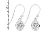 Crystal Quartz Earring CST-RDE-998.