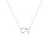 Gemini Zodiac Star Constellation Crystal & White Topaz Necklace CST-RDN-490.