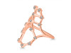 Scorpio Zodiac Star Constellation With Cubic Zirconia Ring CUZ-RDR-2048.