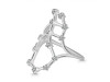 Scorpio Zodiac Star Constellation With Cubic Zirconia Ring CUZ-RDR-2048.
