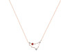 Capricorn Zodiac Star Constellation Garnet & White Topaz Necklace GAR-RDN-489.