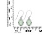 Green Amethyst Earring GRA-RDE-561.