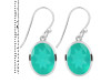 Green Onyx Earring GRO-RDE-1246.