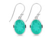 Green Onyx Earring GRO-RDE-1246.