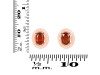Kyanite (Orange) Stud Earring KYN-RDE-35-O.