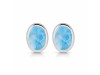 Larimar Stud Earring LAR-RDE-1113.