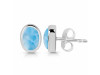 Larimar Stud Earring LAR-RDE-1113.
