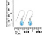 Larimar Earring LAR-RDE-1117.