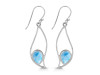 Larimar Earring LAR-RDE-113.