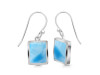 Larimar Earring LAR-RDE-1136.