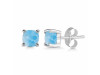 Larimar Stud Earring LAR-RDE-1161.