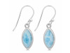 Larimar Earring LAR-RDE-1225.