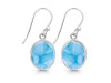 Larimar Earring LAR-RDE-727.