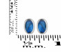 Labradorite Stud Earring LBD-RDE-1108.