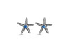 Labradorite Star Fish Stud Earring LBD-RUE-2.