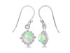 Opal Jewelry Set OPL-RDB-67-RDN-77-RDE-695.