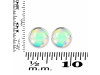 Opal Stud Earring OPL-RDE-723.