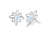 Moonstone Stud Earring RBM-RDE-11.
