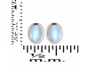 Moonstone Stud Earring RBM-RDE-1107.