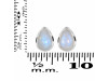 Moonstone Stud Earring RBM-RDE-1110.
