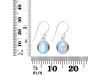 Moonstone Earring RBM-RDE-1116.