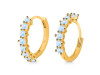 Moonstone Hoop Earring RBM-RDE-1276.