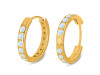 Moonstone Hoop Earring RBM-RDE-1277.