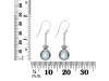 Moonstone Earring RBM-RDE-148.